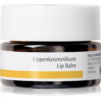 Dr. Hauschka Eye And Lip Care balsam de buze cu efect de nutritiv - imagine 2